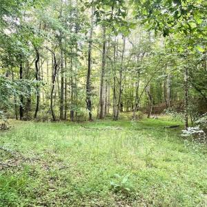 Photo #17 of 3.9Ac Pell, Westfield, NC 4.0 acres