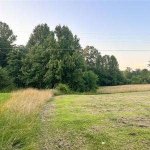 Photo #12 of 3.9Ac Pell, Westfield, NC 4.0 acres