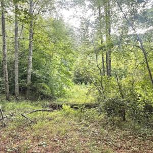 Photo #26 of 3.9Ac Pell, Westfield, NC 4.0 acres