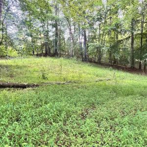 Photo #32 of 3.9Ac Pell, Westfield, NC 4.0 acres