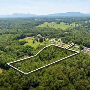 Photo #5 of 3.9Ac Pell, Westfield, NC 4.0 acres