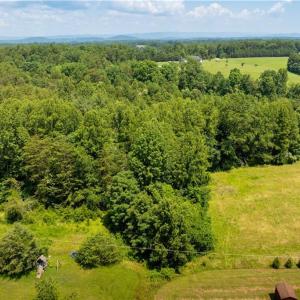 Photo #45 of 3.9Ac Pell, Westfield, NC 4.0 acres