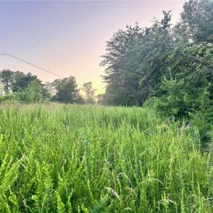 Photo #15 of 3.9Ac Pell, Westfield, NC 4.0 acres