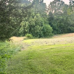 Photo #11 of 3.9Ac Pell, Westfield, NC 4.0 acres