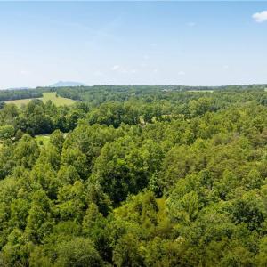 Photo #40 of 3.9Ac Pell, Westfield, NC 4.0 acres