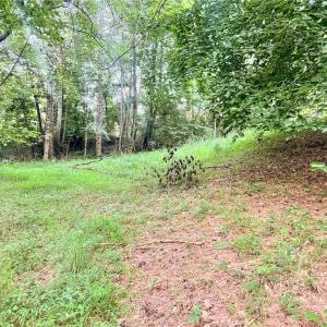 Photo #25 of 3.9Ac Pell, Westfield, NC 4.0 acres