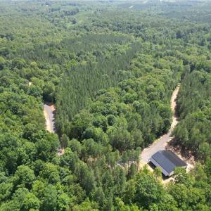 Photo #2 of 268 Town Creek, Eden, NC 80.0 acres