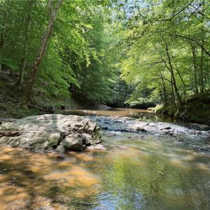 Photo #13 of 268 Town Creek, Eden, NC 80.0 acres