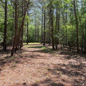 Photo #17 of 268 Town Creek, Eden, NC 80.0 acres
