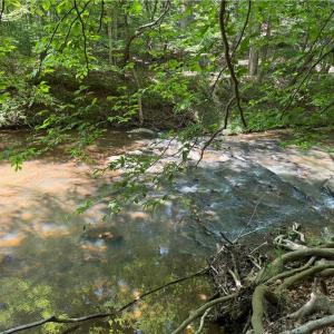 Photo #16 of 268 Town Creek, Eden, NC 80.0 acres