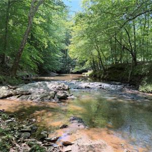 Photo #12 of 268 Town Creek, Eden, NC 80.0 acres