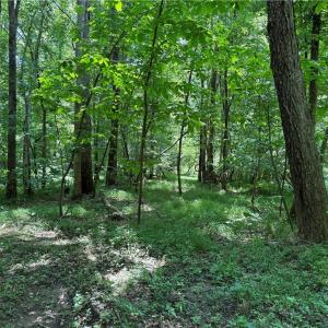 Photo #22 of 268 Town Creek, Eden, NC 80.0 acres