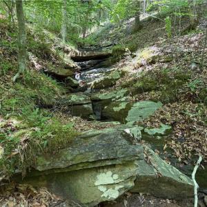 Photo #34 of 268 Town Creek, Eden, NC 80.0 acres