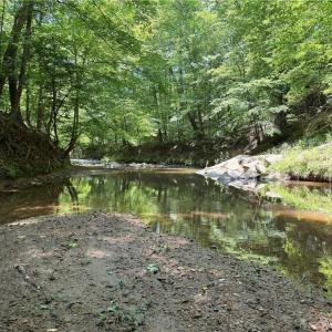 Photo #10 of 268 Town Creek, Eden, NC 80.0 acres