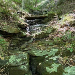 Photo #33 of 268 Town Creek, Eden, NC 80.0 acres