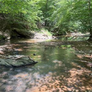 Photo #14 of 268 Town Creek, Eden, NC 80.0 acres