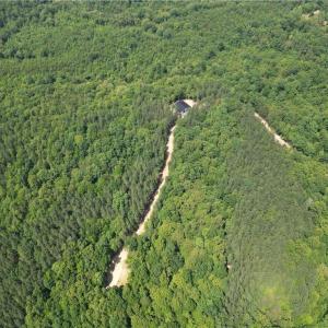 Photo #45 of 268 Town Creek, Eden, NC 80.0 acres