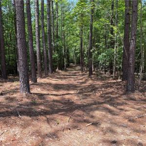 Photo #18 of 268 Town Creek, Eden, NC 80.0 acres