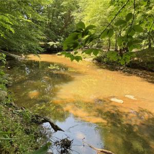 Photo #15 of 268 Town Creek, Eden, NC 80.0 acres