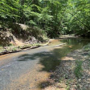 Photo #11 of 268 Town Creek, Eden, NC 80.0 acres