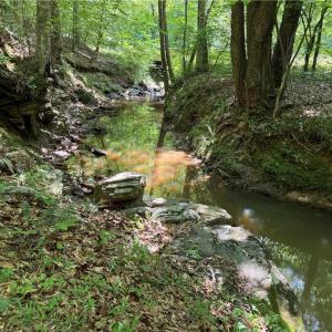 Photo #35 of 268 Town Creek, Eden, NC 80.0 acres