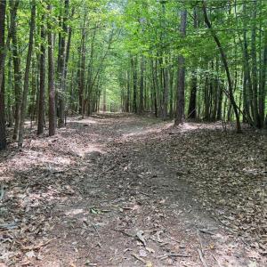 Photo #29 of 268 Town Creek, Eden, NC 80.0 acres