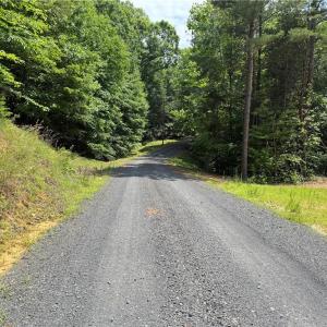 Photo #4 of 268 Town Creek, Eden, NC 80.0 acres