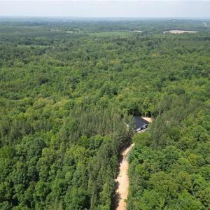 Photo #8 of 268 Town Creek, Eden, NC 80.0 acres