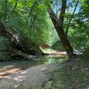 Photo #21 of 268 Town Creek, Eden, NC 80.0 acres
