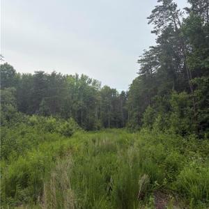 Photo #3 of 185 Trenton, Kernersville, NC 10.0 acres