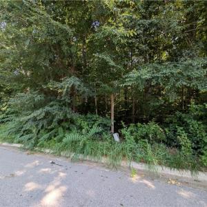 Photo #1 of 210 Birchwood, Mocksville, NC 0.5 acres