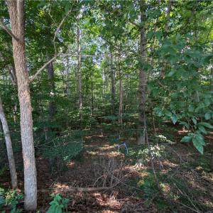 Photo #5 of 210 Birchwood, Mocksville, NC 0.5 acres