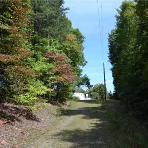 Photo #23 of 1075 Cook Ridge, Germanton, NC 43.2 acres