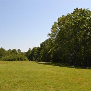 Photo #27 of 1075 Cook Ridge, Germanton, NC 43.2 acres