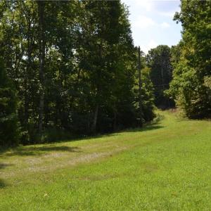 Photo #6 of 1075 Cook Ridge, Germanton, NC 43.2 acres