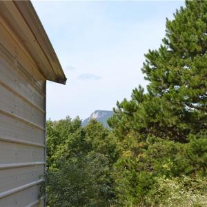 Photo #26 of 1075 Cook Ridge, Germanton, NC 43.2 acres