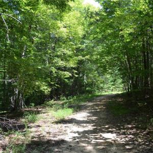 Photo #22 of 1075 Cook Ridge, Germanton, NC 43.2 acres