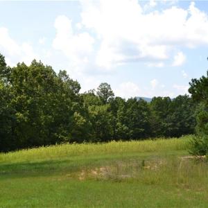 Photo #7 of 1075 Cook Ridge, Germanton, NC 43.2 acres