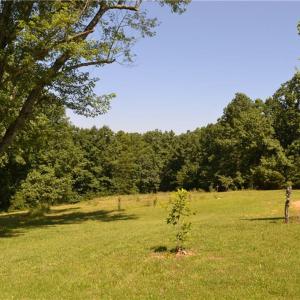Photo #32 of 1075 Cook Ridge, Germanton, NC 43.2 acres
