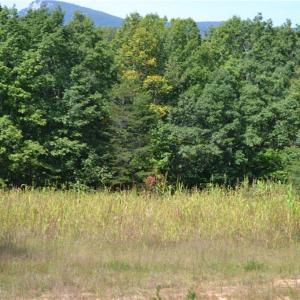 Photo #1 of 1075 Cook Ridge, Germanton, NC 43.2 acres