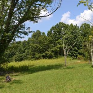Photo #9 of 1075 Cook Ridge, Germanton, NC 43.2 acres