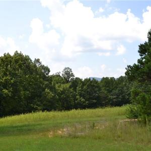Photo #10 of 1075 Cook Ridge, Germanton, NC 43.2 acres