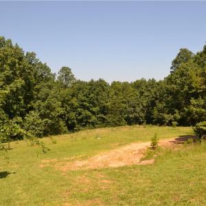 Photo #33 of 1075 Cook Ridge, Germanton, NC 43.2 acres