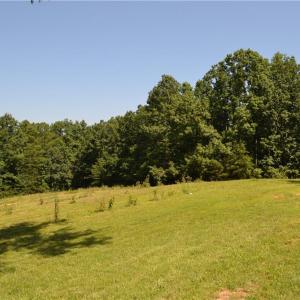 Photo #19 of 1075 Cook Ridge, Germanton, NC 43.2 acres