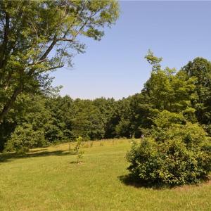 Photo #31 of 1075 Cook Ridge, Germanton, NC 43.2 acres