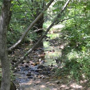 Photo #4 of 1075 Cook Ridge, Germanton, NC 43.2 acres