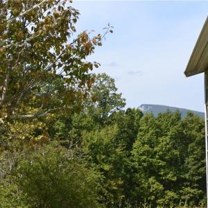 Photo #25 of 1075 Cook Ridge, Germanton, NC 43.2 acres