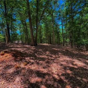 Photo #2 of 1560 Rocky Cove, Denton, NC 1.7 acres