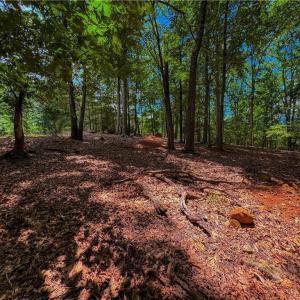 Photo #3 of 1560 Rocky Cove, Denton, NC 1.7 acres
