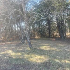 Photo #20 of 701 Brigham, Greensboro, NC 10.5 acres